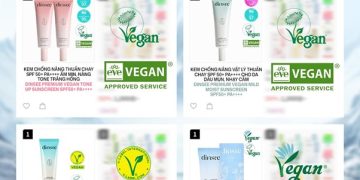 So kèo kem chống nắng thuần chay Dinsee và KCN truyền thống: Tại sao tiêu chuẩn “Double Vegan” lại tạo nên cú lật kèo chấn động?
